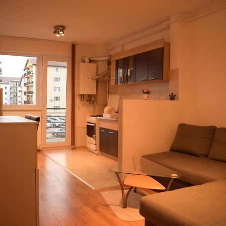 Apartament Alexandru Apartment Sibiu Luaran gambar