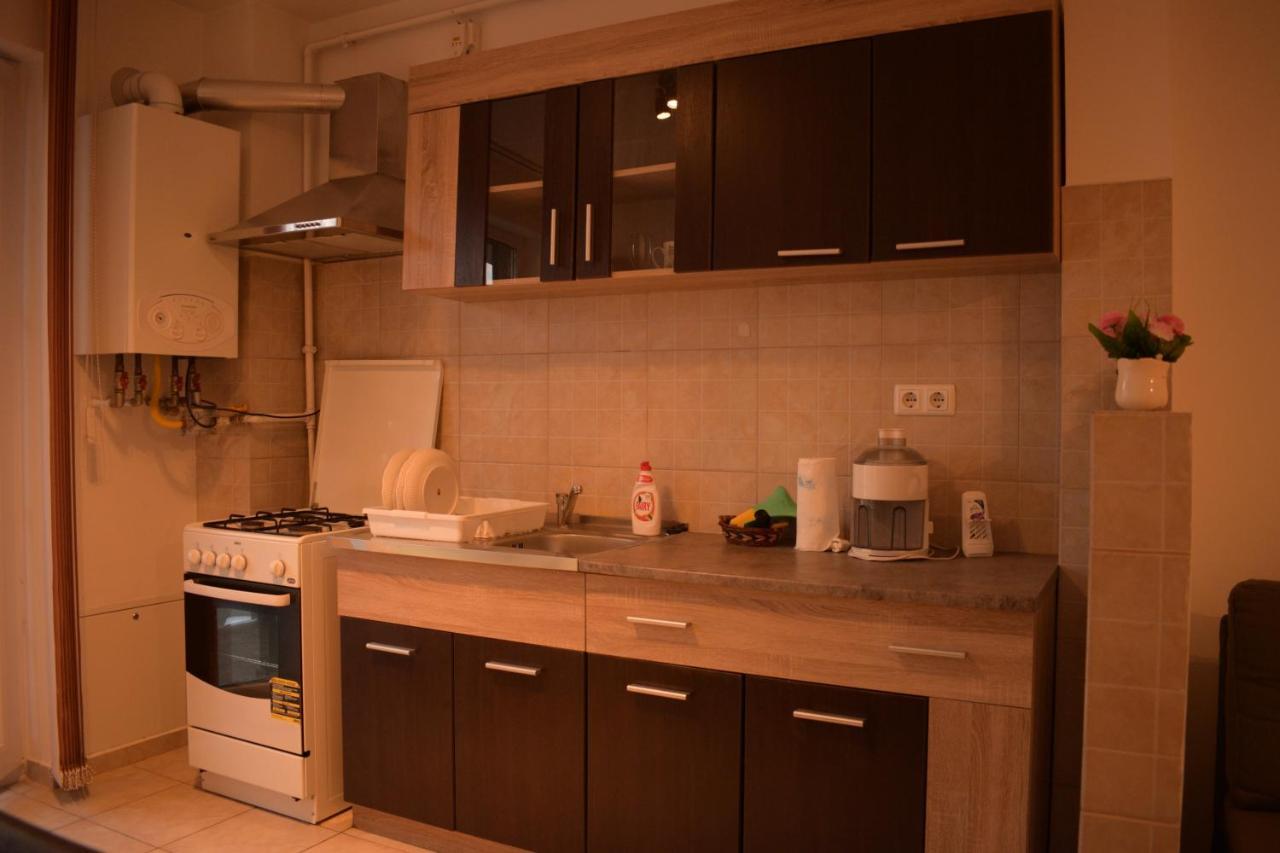 Apartament Alexandru Apartment Sibiu Luaran gambar